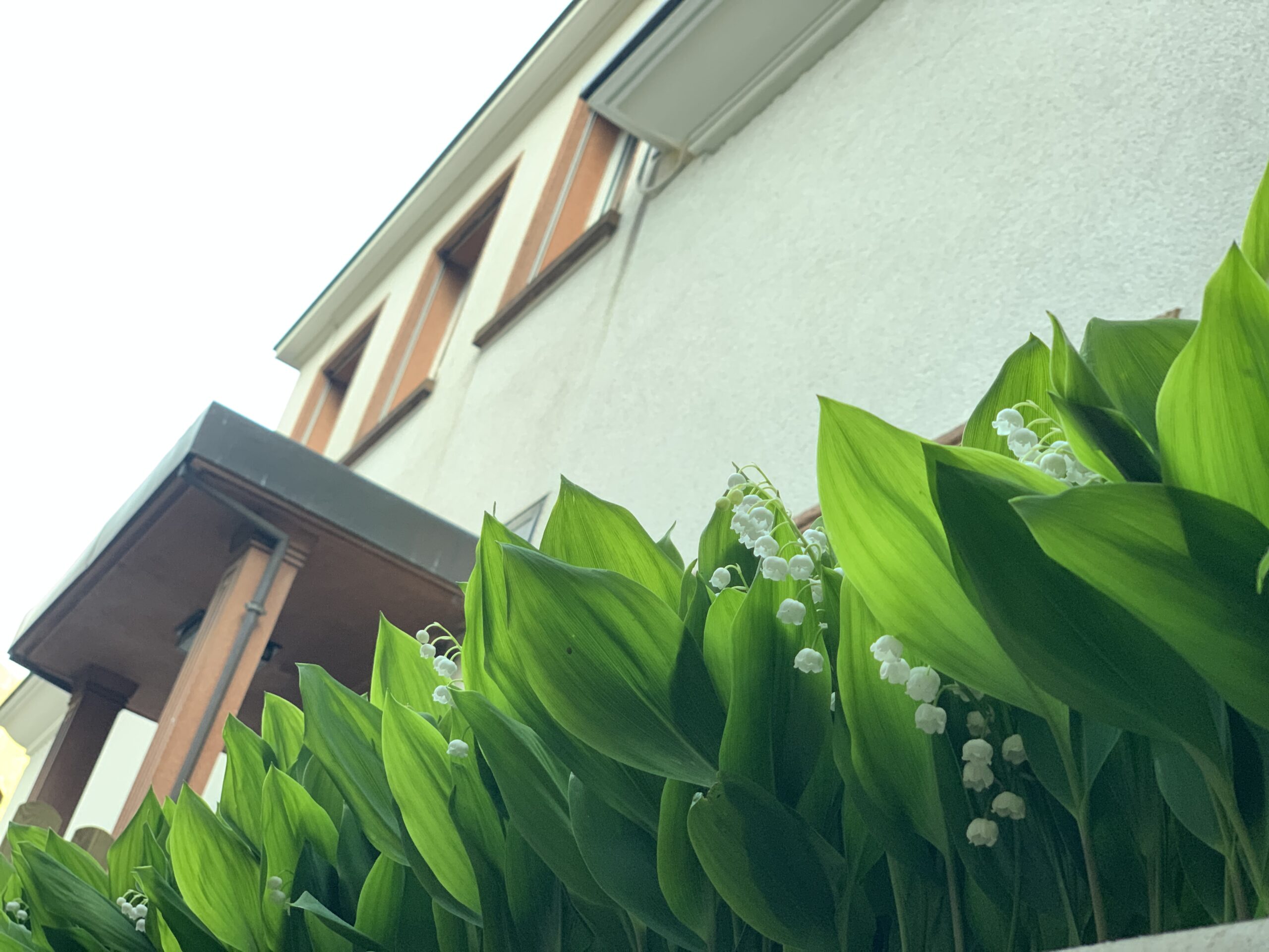 Ecole Montessori bilingue de Montreux Montessori School of Montreux Kindergarten 3 to 6 yo